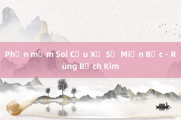 Phần mềm Soi Cầu Xổ Số Miền Bắc - Rùng Bạch Kim