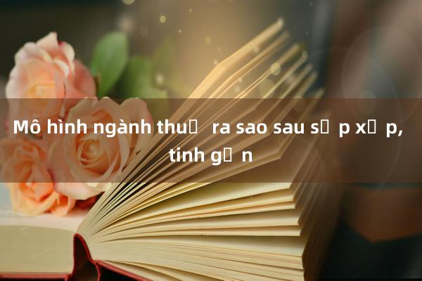 Mô hình ngành thuế ra sao sau sắp xếp, tinh gọn